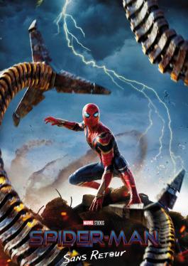 Spider - Man - Sans Retour 
